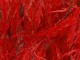 maple