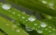 raindrops