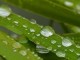raindrops