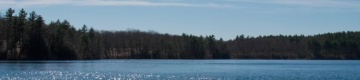 walden-pond