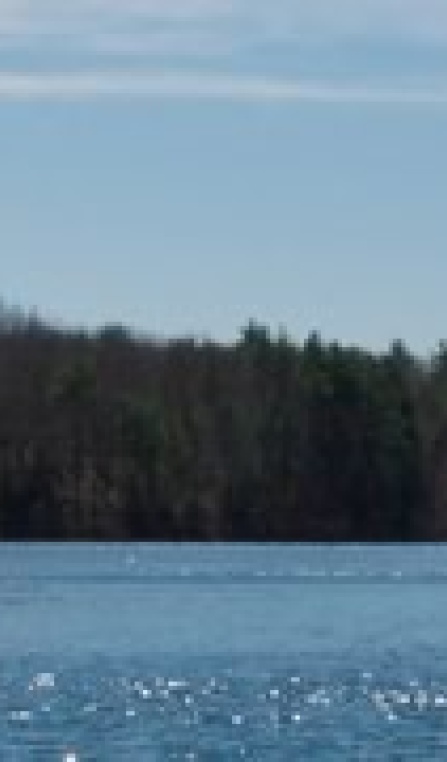 walden-pond