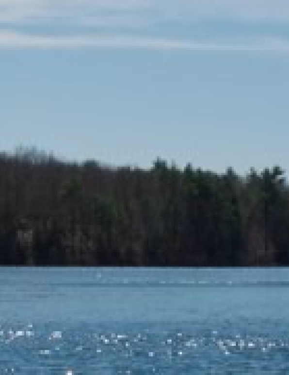 walden-pond