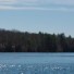 walden-pond