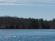 walden-pond