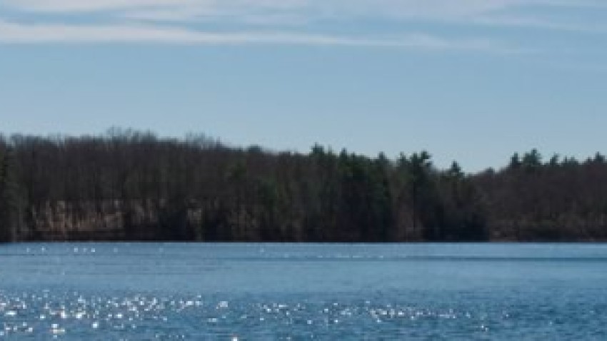 walden-pond