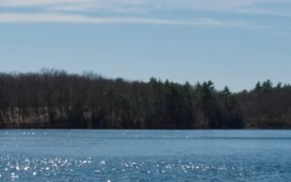 walden-pond